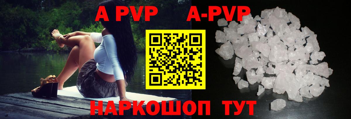 Альфа ПВП СК Шелехов