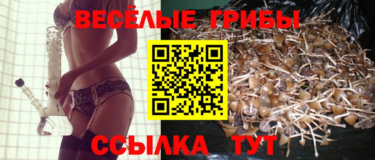 Шелехов  Псилоцибиновые грибы Magic Shrooms  Вход с VPN  Псилоцибиновые грибы мицелий 